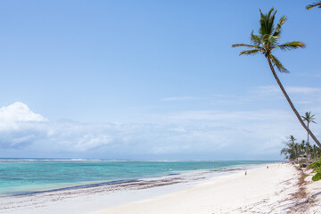 Paradise beach with white sand and palms. Diani Beach at Indian ocean surroundings of Mombasa,...