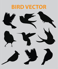 Sets of silhouette birds flying icon, in various species and action expression, create by vector