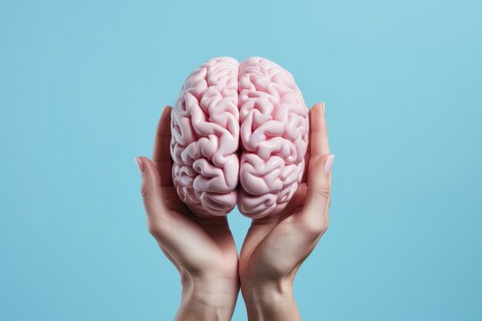 human hands hold brain model health concept