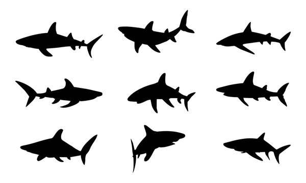 set of shark silhouettes on isolated background