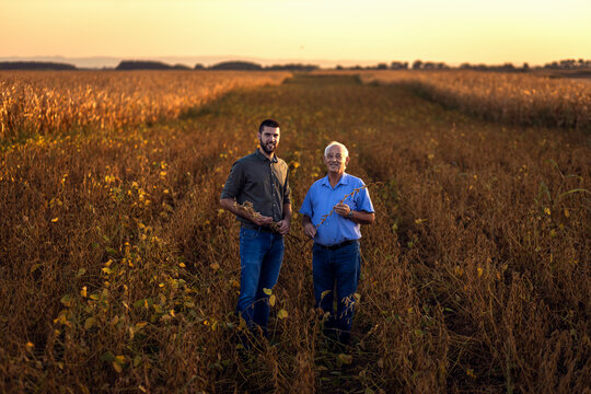 Portrait of two farmers standing in soy field looking at camera.