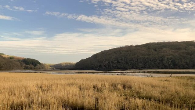 The River Erme estuary at low tide in the golden early morning. Birds gather on the flats in the background - Nr Holbeton, Devon, UK