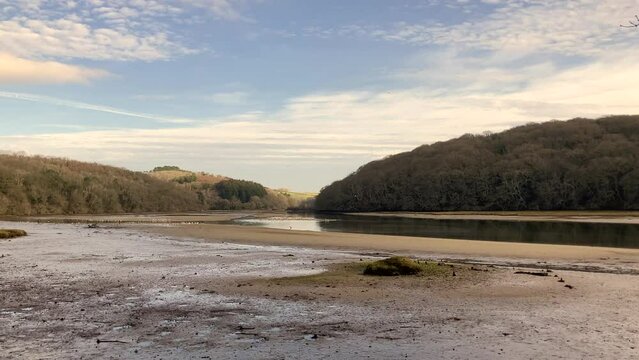 A peaceful early morning scene of birds at low tide on the Erme River Estuary with a beautiful winter tree landscape in the background - Nr Holbeton, Devon, UK