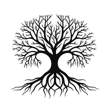 black tree silhouette vector illustration with roots isolated on white background.
