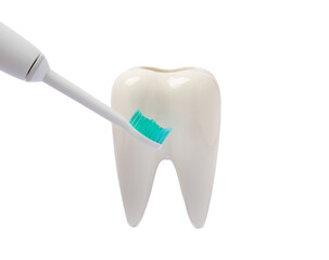 Toothbrush and tooth model isolated on white background.electric toothbrush. A set of toothbrushes in holders. Oral care concept. Dentist concept.