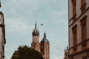 Blick auf die Marienkirche in Kakau Polen mit Vogel am Himmel