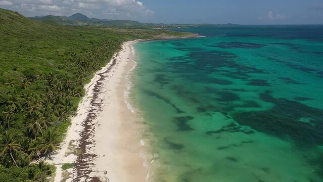 Plage d&eacute;serte en Martinique