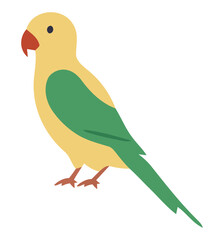 Colorful tropical bird