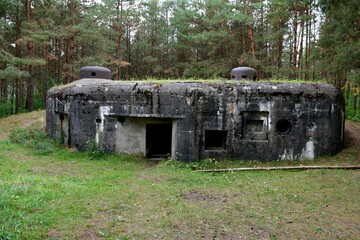 A close up on a massive concrete bunker or bomb shelter located in the middle of a vast forest or...