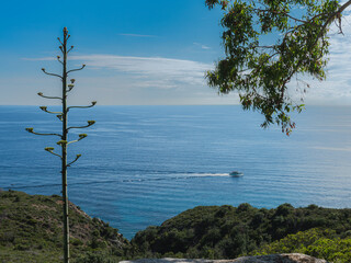 Scenic view on Campo nell'Elba on Elba