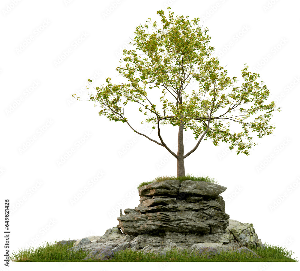 Poster tree on the big rock stone or mountain rocks and meadows png transparent background, 3d illustration