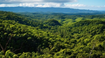 forest new caledonian forests illustration animal natural, closeup tree, sky tropical forest new caledonian forests
