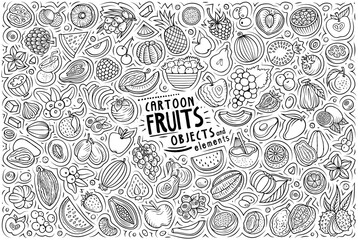 Cartoon Fresh Fruits objects and symbols doodle set