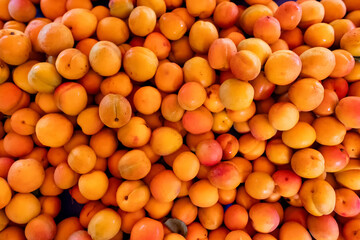 Lots of eco friendly apricots in the city market.