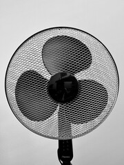 fan for cooling in high heat - 649827045