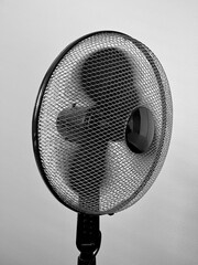 fan for cooling in high heat - 649827062