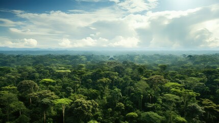 amazon amazonian canopy incredible illustration jungle green, brazil tree, landscape travel amazon amazonian canopy incredible