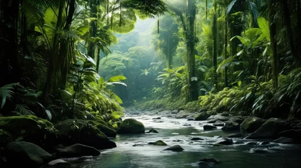 Foto op Aluminium green costa rican rainforest illustration jungle beautiful, natural america, background tree green costa rican rainforest © sevector