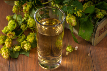 Fresh non-alcoholic hop infused water in glass and jug, with fresh hop cones on wooden table