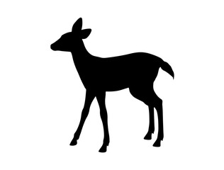 Fawn silhouette vector art white background
