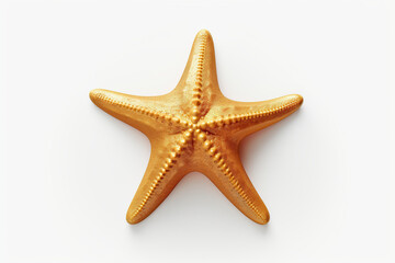 gold starfish on a white background
