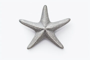 silver starfish on a white background