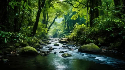 Fotobehang forest philippine rainforest lush illustration green travel, landscape outdoor, foliage water forest philippine rainforest lush © sevector