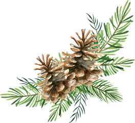 Hand drawn watercolor Christmas composition with fir branches and two pine cones.