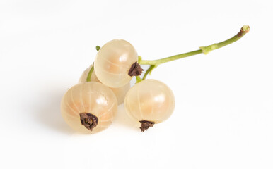 Berry yellow currant isolated on white background. Close-up