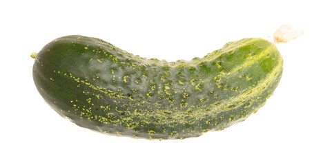 Fresh cucumbers isolated white background