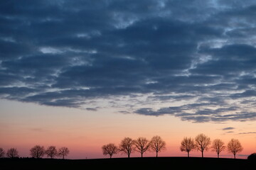 Sonnenuntergang bei dramatischem Himmel und Baumreihe - obrazy, fototapety, plakaty
