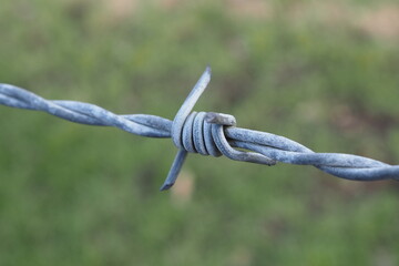 Stacheldraht in Großaufnahme