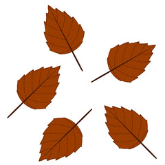 set of autumn leaves
