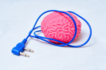 Human Brain with a Power Cord
