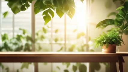 wood table backgorund with sunlight window create leaf shadow on wall with blur indoor green plant 