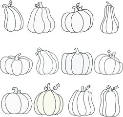 Pumpkin Line Art