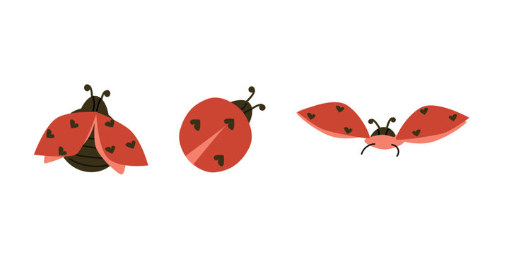 set of red lovebugs and beetles flying - vector