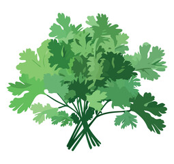 Fresh cilantro design