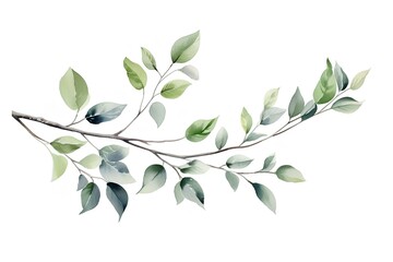 Branch with leaves. Watercolor.hand drawn. on white background. copy space. generative AI