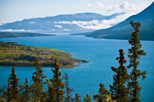 Tagish Lake And Bove Island With The Ruby And Coast Mountains In The Background; Carcross, Yukon Territory, Canada