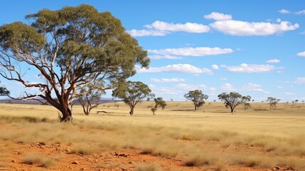 travel australian bushland arid illustration australia climate, environment outback, desert nature travel australian bushland arid