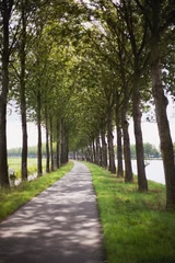 Foto auf Acrylglas Trees Lining A Path And Canal  Houten, The Netherlands © Designpics