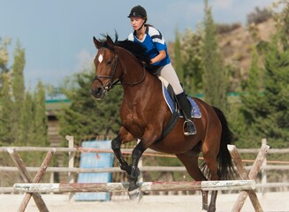 Obraz premium A Horse Does Jumps With A Female Rider; Benalamadena Costa, Malaga, Costa Del Sol, Andalusia, Spain