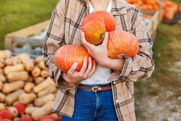 Close up hands of woman embracing rape pumpkins