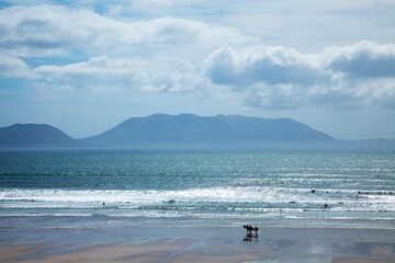People In The Distance At The Seashore; Inch Island, County Kerry, Ireland