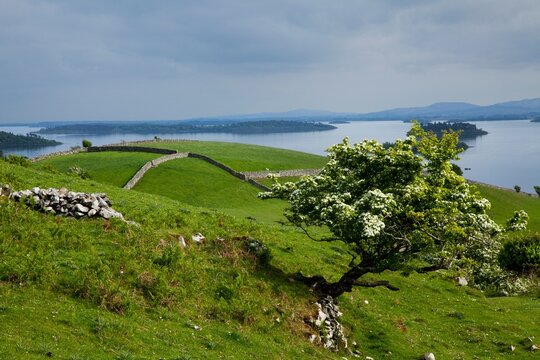 Lough Corrib Near Cong; County Mayo, Ireland