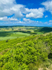 Obraz premium Green landscape with hills and trees
