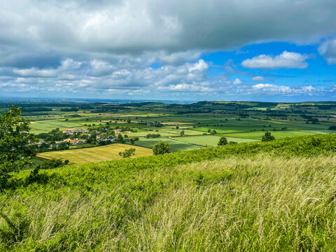 Green landscape with hills and trees