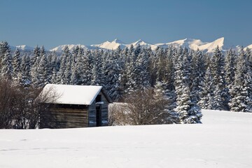 Snow-Covered Cabin; Okotoks, Alberta, Canada