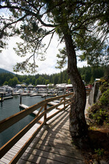 Docks And Marina; Telegraph Cove, Vancouver Island, British Columbia, Canada